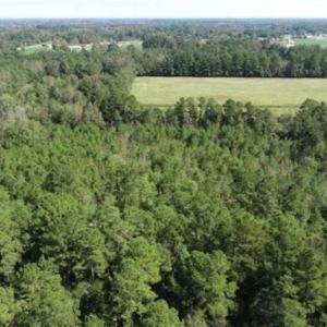 Photo of 20.23 Acres of Hunting and Residential Land For Sale in Robeson County NC!
