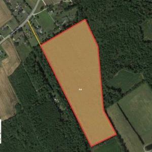 Photo of 20.23 Acres of Hunting and Residential Land For Sale in Robeson County NC!