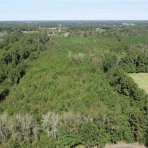 Photo of 20.23 Acres of Hunting and Residential Land For Sale in Robeson County NC!
