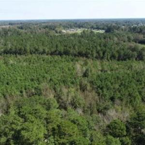 Photo of 20.23 Acres of Hunting and Residential Land For Sale in Robeson County NC!
