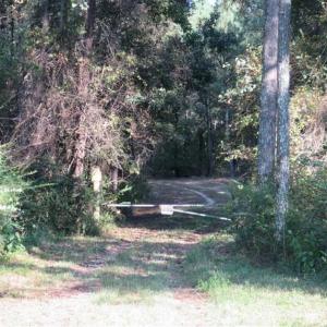 Photo of 744.83 Acres of Hunting and Timber Land For Sale in Bladen County NC!