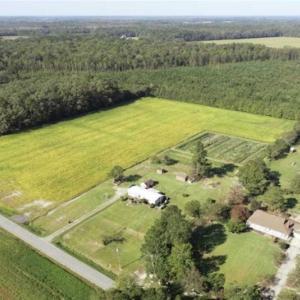 Photo of SOLD!!  32 Acres of Residential and Hunting Land For Sale in Chesapeake City VA!