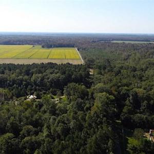 Photo of SOLD!!  32 Acres of Residential and Hunting Land For Sale in Chesapeake City VA!
