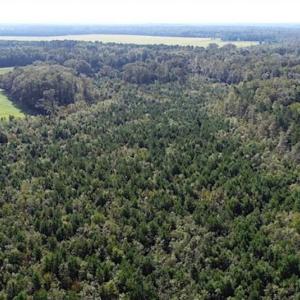 Photo of SOLD!!  32 Acres of Residential and Hunting Land For Sale in Chesapeake City VA!