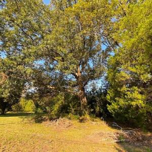 Photo of SOLD!!  32 Acres of Residential and Hunting Land For Sale in Chesapeake City VA!