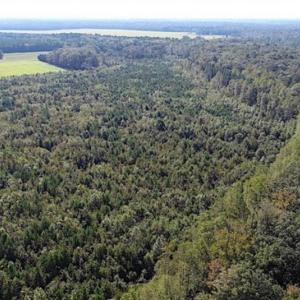 Photo of SOLD!!  32 Acres of Residential and Hunting Land For Sale in Chesapeake City VA!