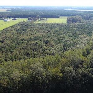 Photo of SOLD!!  32 Acres of Residential and Hunting Land For Sale in Chesapeake City VA!