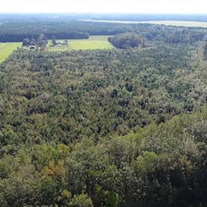 Photo of SOLD!!  32 Acres of Residential and Hunting Land For Sale in Chesapeake City VA!