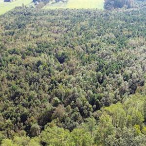 Photo of SOLD!!  32 Acres of Residential and Hunting Land For Sale in Chesapeake City VA!