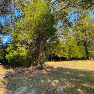 Photo of SOLD!!  32 Acres of Residential and Hunting Land For Sale in Chesapeake City VA!