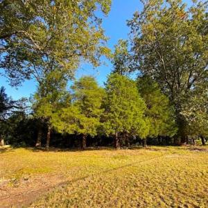 Photo of SOLD!!  32 Acres of Residential and Hunting Land For Sale in Chesapeake City VA!
