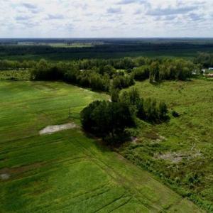 Photo of 80 Acres of Farm and Hunting Land for Sale in Gates County NC!