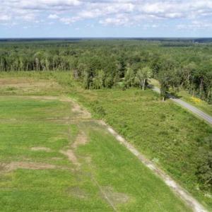Photo of 80 Acres of Farm and Hunting Land for Sale in Gates County NC!