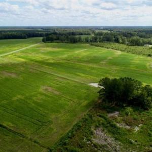Photo of 80 Acres of Farm and Hunting Land for Sale in Gates County NC!