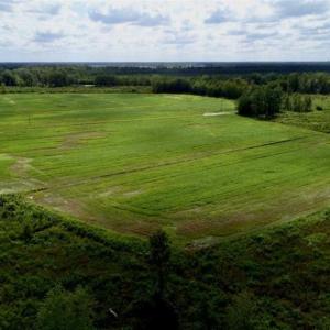 Photo of 80 Acres of Farm and Hunting Land for Sale in Gates County NC!