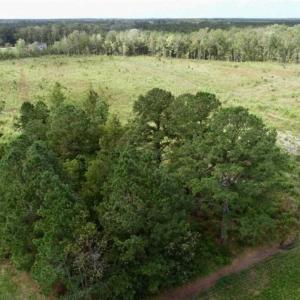 Photo of 80 Acres of Farm and Hunting Land for Sale in Gates County NC!