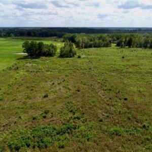 Photo of 80 Acres of Farm and Hunting Land for Sale in Gates County NC!