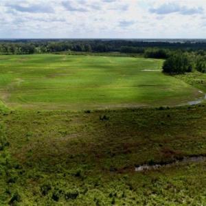 Photo of 80 Acres of Farm and Hunting Land for Sale in Gates County NC!