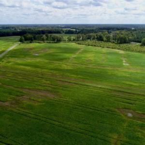 Photo of 80 Acres of Farm and Hunting Land for Sale in Gates County NC!