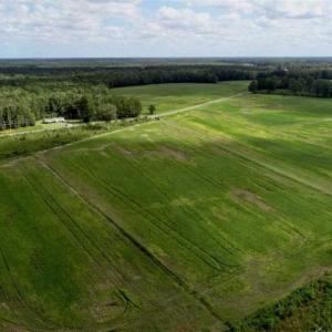 Photo of 80 Acres of Farm and Hunting Land for Sale in Gates County NC!