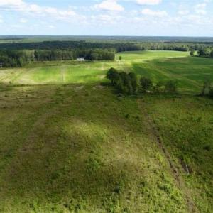 Photo of 80 Acres of Farm and Hunting Land for Sale in Gates County NC!