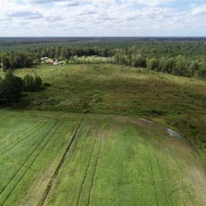 Photo of 80 Acres of Farm and Hunting Land for Sale in Gates County NC!