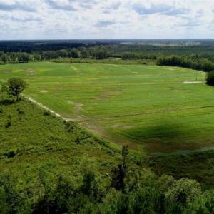 Photo of 80 Acres of Farm and Hunting Land for Sale in Gates County NC!