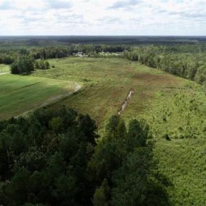Photo of 80 Acres of Farm and Hunting Land for Sale in Gates County NC!