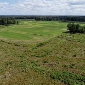 Photo of 80 Acres of Farm and Hunting Land for Sale in Gates County NC!