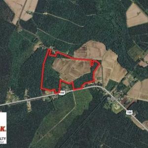Photo of 80 Acres of Farm and Hunting Land for Sale in Gates County NC!