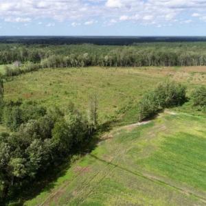 Photo of 80 Acres of Farm and Hunting Land for Sale in Gates County NC!