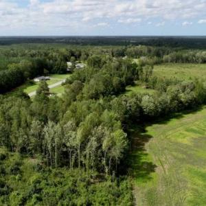 Photo of 80 Acres of Farm and Hunting Land for Sale in Gates County NC!