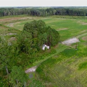 Photo of 80 Acres of Farm and Hunting Land for Sale in Gates County NC!