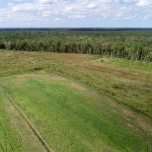 Photo of 80 Acres of Farm and Hunting Land for Sale in Gates County NC!