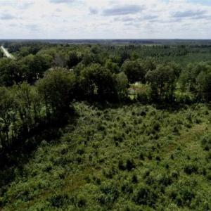 Photo of 80 Acres of Farm and Hunting Land for Sale in Gates County NC!