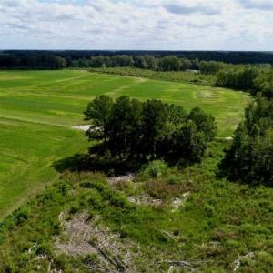 Photo of 80 Acres of Farm and Hunting Land for Sale in Gates County NC!
