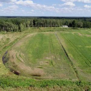 Photo of 80 Acres of Farm and Hunting Land for Sale in Gates County NC!