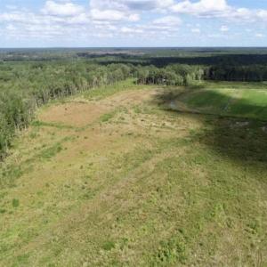 Photo of 80 Acres of Farm and Hunting Land for Sale in Gates County NC!