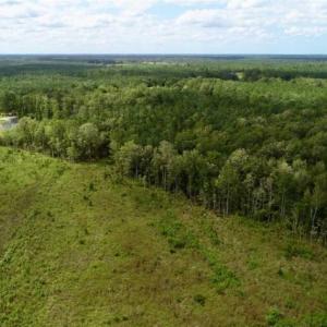 Photo of 80 Acres of Farm and Hunting Land for Sale in Gates County NC!