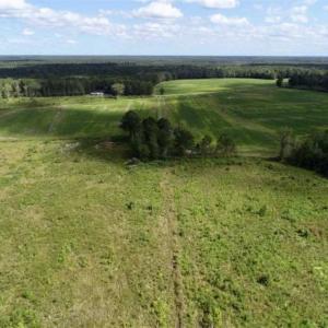 Photo of 80 Acres of Farm and Hunting Land for Sale in Gates County NC!