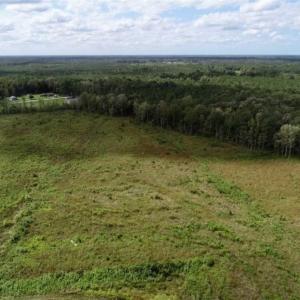 Photo of 80 Acres of Farm and Hunting Land for Sale in Gates County NC!
