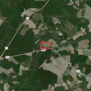 Photo of 80 Acres of Farm and Hunting Land for Sale in Gates County NC!