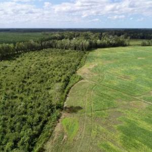 Photo of 80 Acres of Farm and Hunting Land for Sale in Gates County NC!