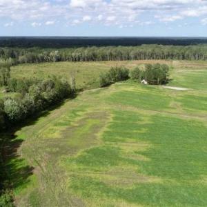 Photo of 80 Acres of Farm and Hunting Land for Sale in Gates County NC!