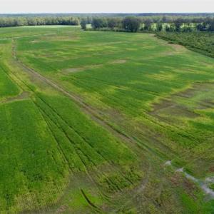 Photo of 80 Acres of Farm and Hunting Land for Sale in Gates County NC!