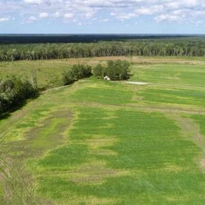 Photo of 80 Acres of Farm and Hunting Land for Sale in Gates County NC!