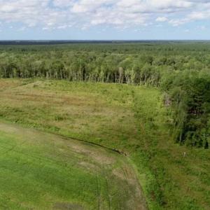 Photo of 80 Acres of Farm and Hunting Land for Sale in Gates County NC!