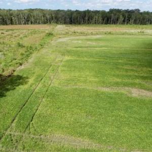 Photo of 80 Acres of Farm and Hunting Land for Sale in Gates County NC!