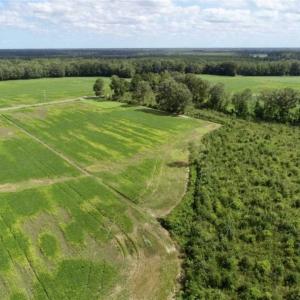 Photo of 80 Acres of Farm and Hunting Land for Sale in Gates County NC!