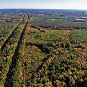 Photo of UNDER CONTRACT!!  46.79 Acres of Hunting Land for Sale in Brunswick County VA!